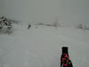 Skijouring, Anchorage