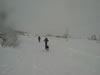 Skijouring, Anchorage
