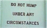 No Humping